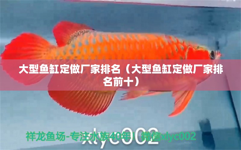 大型魚缸定做廠家排名（大型魚缸定做廠家排名前十）