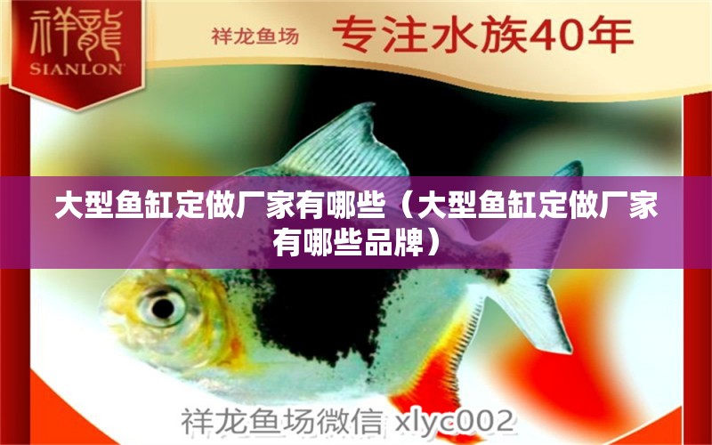 大型魚缸定做廠家有哪些（大型魚缸定做廠家有哪些品牌）