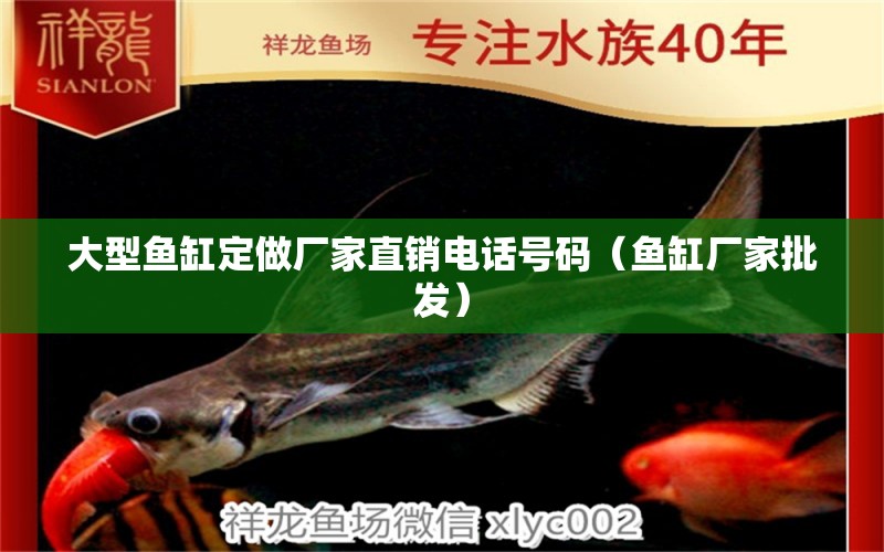 大型魚缸定做廠家直銷電話號碼（魚缸廠家批發(fā)） 廣州觀賞魚批發(fā)市場