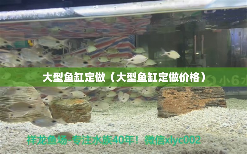 大型魚(yú)缸定做（大型魚(yú)缸定做價(jià)格） 其他品牌魚(yú)缸