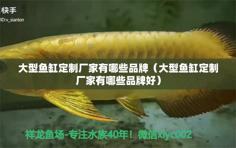 大型魚缸定制廠家有哪些品牌（大型魚缸定制廠家有哪些品牌好） 其他品牌魚缸