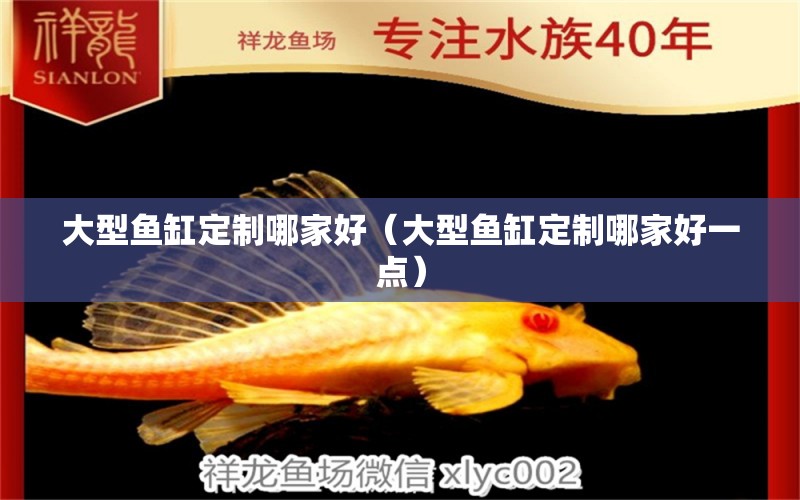 大型魚缸定制哪家好（大型魚缸定制哪家好一點(diǎn)） 檸檬鯽