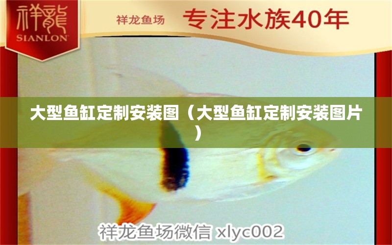 大型魚(yú)缸定制安裝圖（大型魚(yú)缸定制安裝圖片）