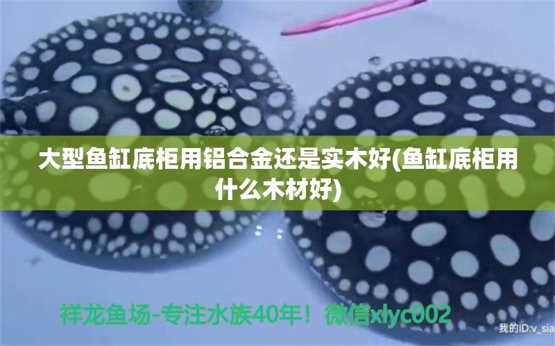 大型魚(yú)缸底柜用鋁合金還是實(shí)木好(魚(yú)缸底柜用什么木材好) 白化火箭