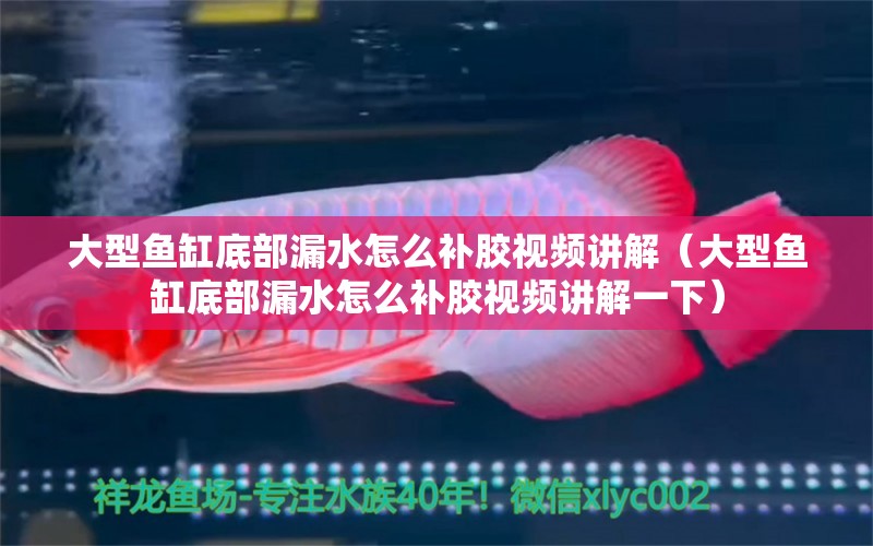 大型魚缸底部漏水怎么補膠視頻講解（大型魚缸底部漏水怎么補膠視頻講解一下） 其他品牌魚缸