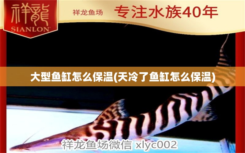 大型魚缸怎么保溫(天冷了魚缸怎么保溫) 可麗愛魚缸