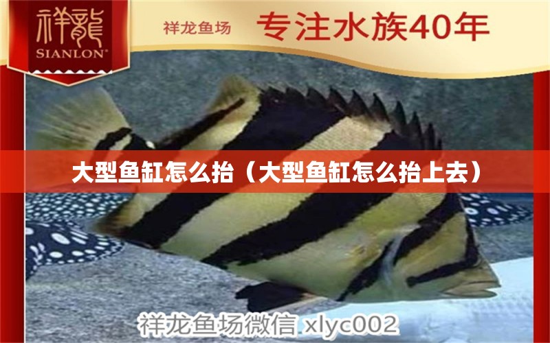 大型魚缸怎么抬（大型魚缸怎么抬上去） 其他品牌魚缸