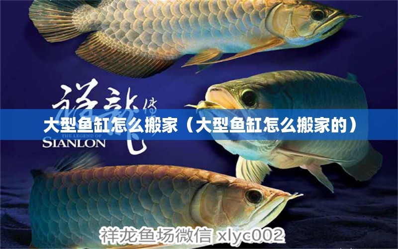 大型魚缸怎么搬家（大型魚缸怎么搬家的）