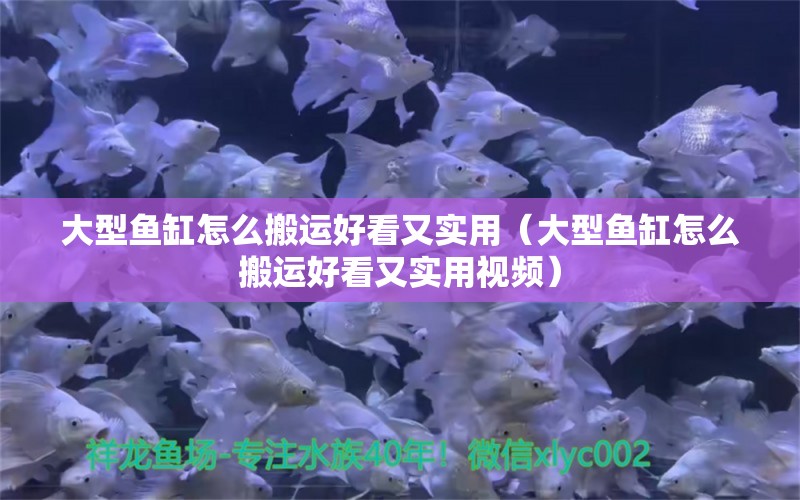 大型魚缸怎么搬運(yùn)好看又實(shí)用（大型魚缸怎么搬運(yùn)好看又實(shí)用視頻） 觀賞魚市場（混養(yǎng)魚）