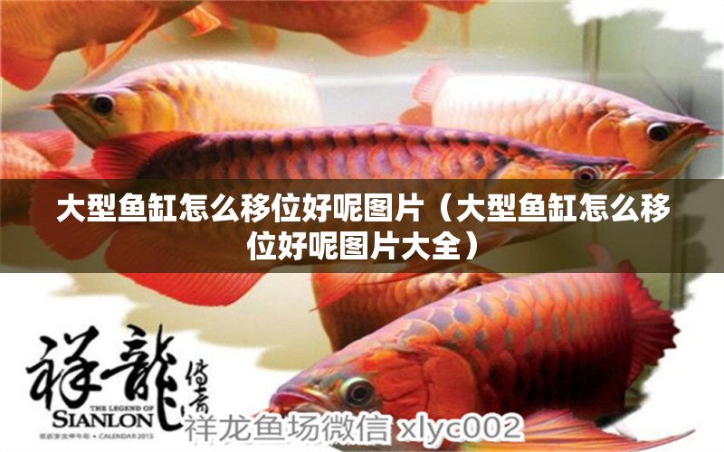 大型魚缸怎么移位好呢圖片（大型魚缸怎么移位好呢圖片大全） 其他品牌魚缸