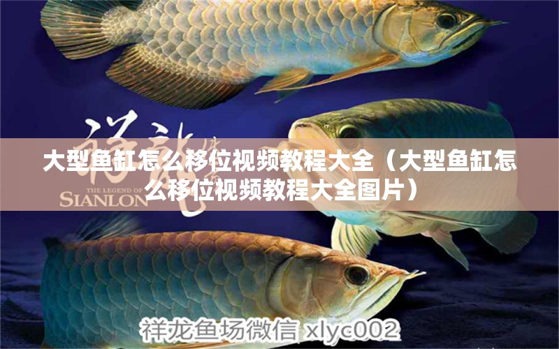 大型魚缸怎么移位視頻教程大全（大型魚缸怎么移位視頻教程大全圖片）