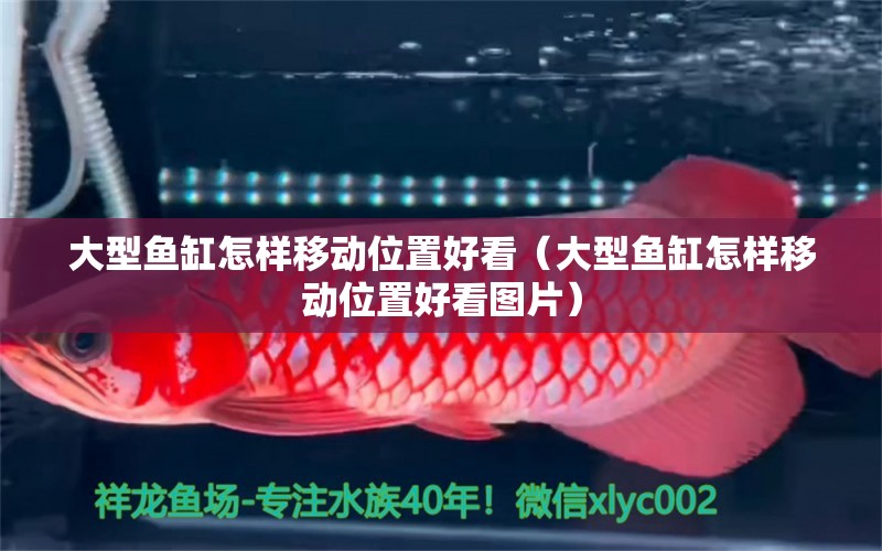 大型魚缸怎樣移動位置好看（大型魚缸怎樣移動位置好看圖片） 其他品牌魚缸