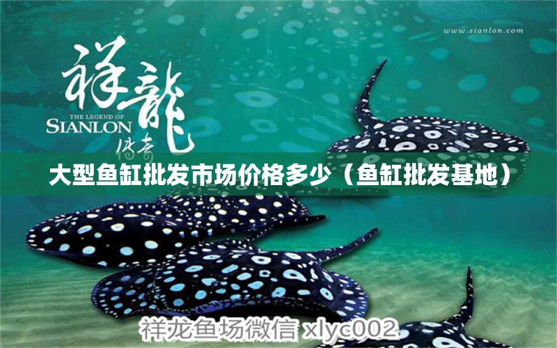 大型魚缸批發(fā)市場(chǎng)價(jià)格多少（魚缸批發(fā)基地）