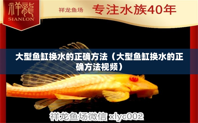 大型魚缸換水的正確方法（大型魚缸換水的正確方法視頻）