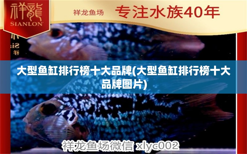 大型魚缸排行榜十大品牌(大型魚缸排行榜十大品牌圖片) 觀賞魚水族批發(fā)市場(chǎng)