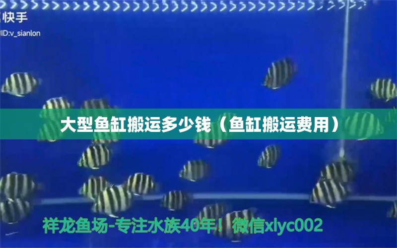 大型魚缸搬運多少錢（魚缸搬運費用） 魚缸等水族設備