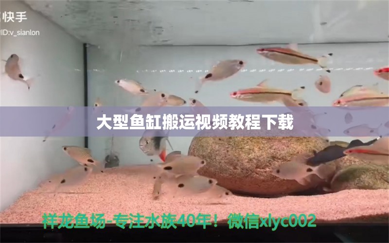 大型魚缸搬運(yùn)視頻教程下載 祥龍魚場(chǎng)