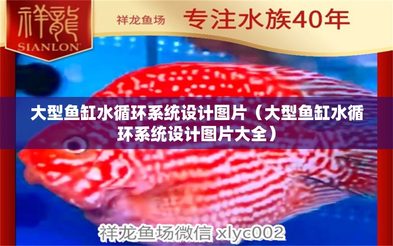 大型魚缸水循環(huán)系統(tǒng)設計圖片（大型魚缸水循環(huán)系統(tǒng)設計圖片大全） 其他品牌魚缸