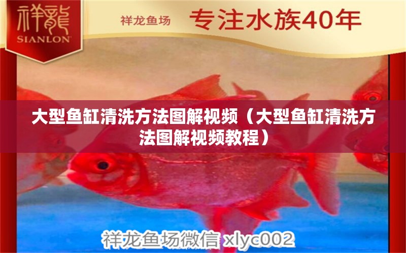 大型魚缸清洗方法圖解視頻（大型魚缸清洗方法圖解視頻教程）