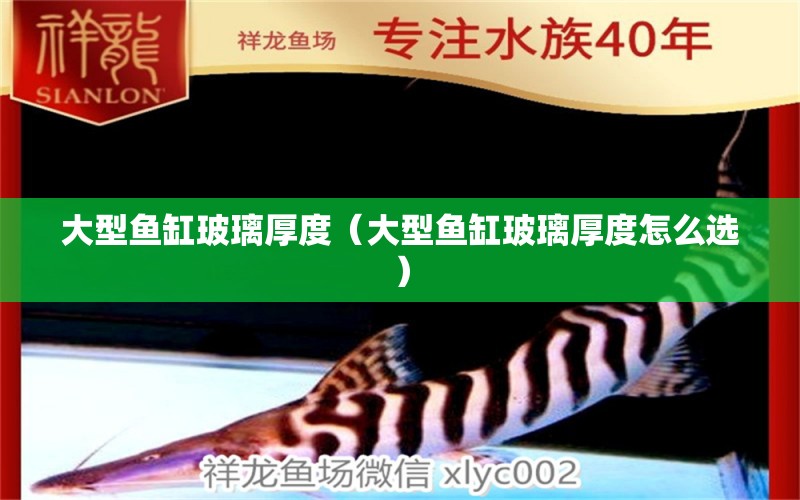 大型魚缸玻璃厚度（大型魚缸玻璃厚度怎么選） 其他品牌魚缸