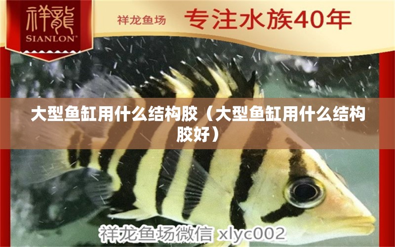 大型魚缸用什么結(jié)構(gòu)膠（大型魚缸用什么結(jié)構(gòu)膠好）