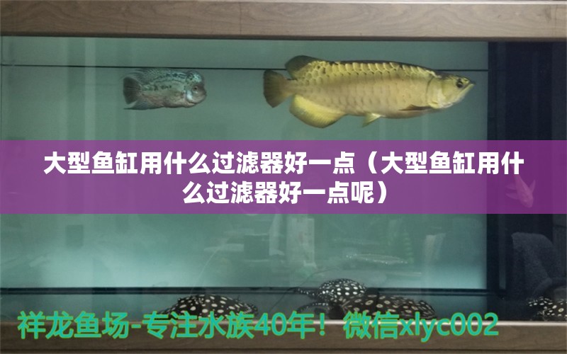 大型魚缸用什么過濾器好一點(diǎn)（大型魚缸用什么過濾器好一點(diǎn)呢） 養(yǎng)魚知識(shí)