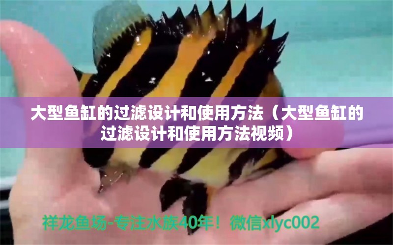 大型魚缸的過濾設計和使用方法（大型魚缸的過濾設計和使用方法視頻） 其他品牌魚缸