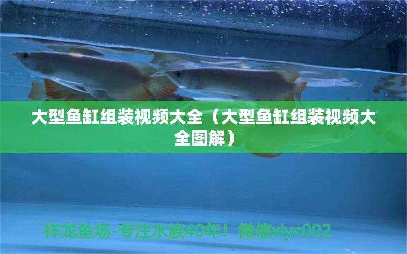 大型魚(yú)缸組裝視頻大全（大型魚(yú)缸組裝視頻大全圖解）