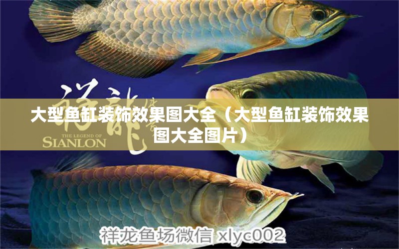 大型魚缸裝飾效果圖大全（大型魚缸裝飾效果圖大全圖片）