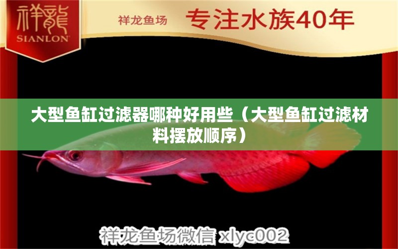 大型魚缸過濾器哪種好用些（大型魚缸過濾材料擺放順序） 觀賞魚批發(fā)