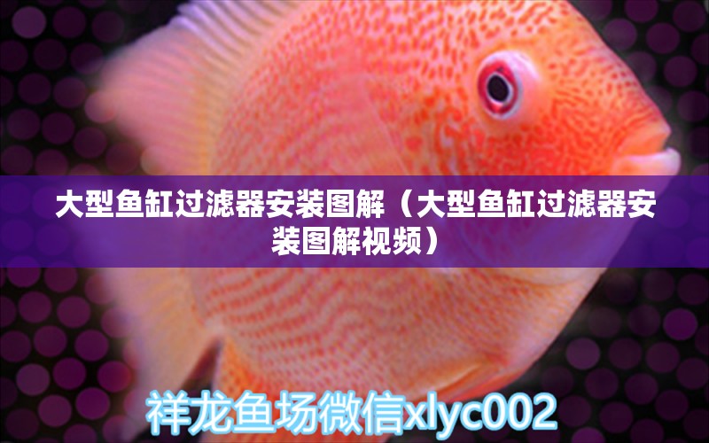 大型魚(yú)缸過(guò)濾器安裝圖解（大型魚(yú)缸過(guò)濾器安裝圖解視頻） 其他品牌魚(yú)缸