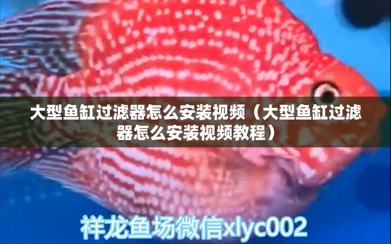 大型魚缸過濾器怎么安裝視頻（大型魚缸過濾器怎么安裝視頻教程） 其他品牌魚缸