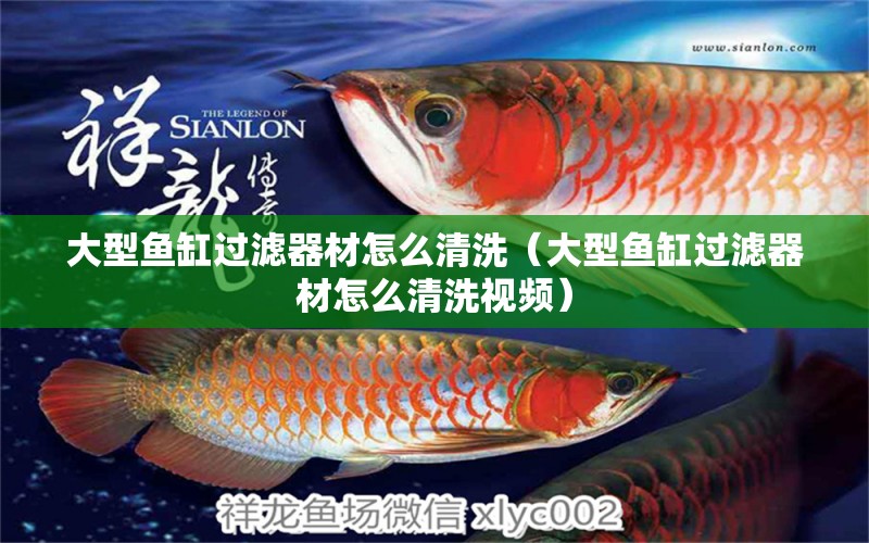 大型魚缸過濾器材怎么清洗（大型魚缸過濾器材怎么清洗視頻） 其他品牌魚缸