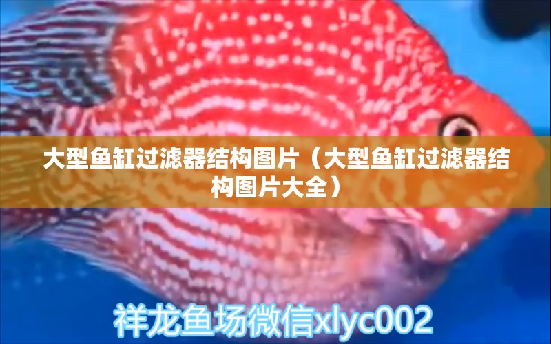 大型魚缸過濾器結(jié)構(gòu)圖片（大型魚缸過濾器結(jié)構(gòu)圖片大全） 其他品牌魚缸