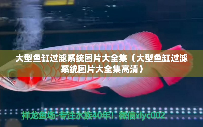 大型魚缸過濾系統(tǒng)圖片大全集（大型魚缸過濾系統(tǒng)圖片大全集高清） 其他品牌魚缸