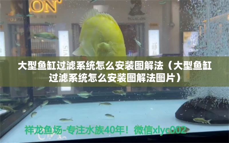 大型魚缸過濾系統怎么安裝圖解法（大型魚缸過濾系統怎么安裝圖解法圖片） 其他品牌魚缸