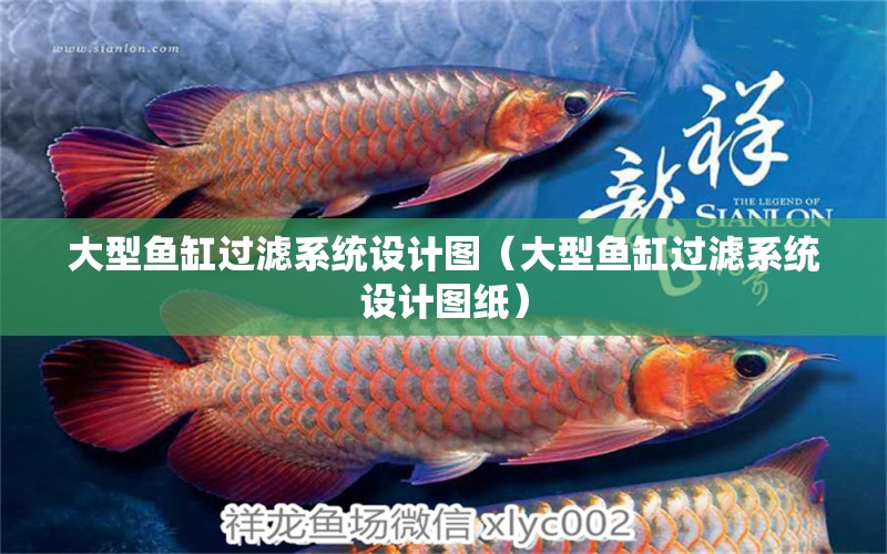 大型魚缸過濾系統(tǒng)設計圖（大型魚缸過濾系統(tǒng)設計圖紙） 其他品牌魚缸