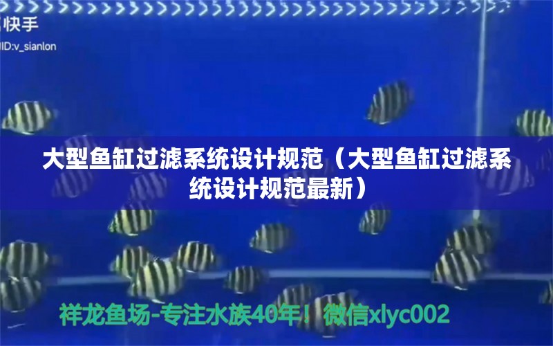 大型魚缸過濾系統(tǒng)設(shè)計(jì)規(guī)范（大型魚缸過濾系統(tǒng)設(shè)計(jì)規(guī)范最新） 魟魚百科