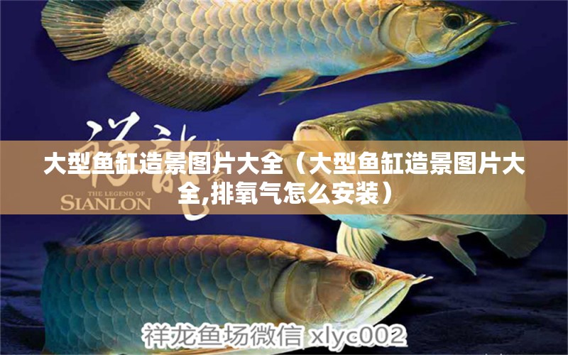 大型魚(yú)缸造景圖片大全（大型魚(yú)缸造景圖片大全,排氧氣怎么安裝） iwish愛(ài)唯希品牌魚(yú)缸