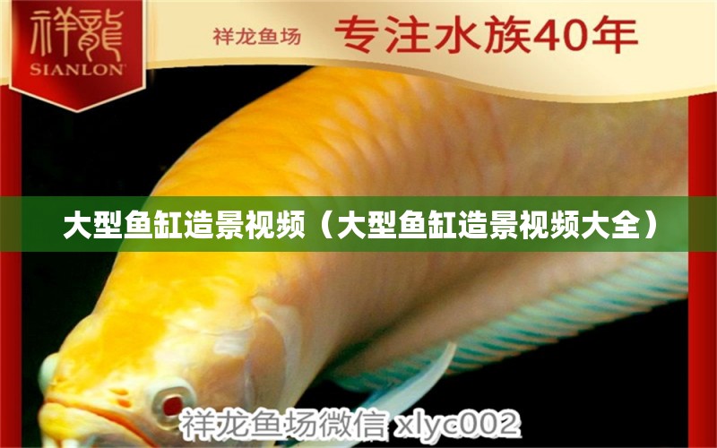 大型魚(yú)缸造景視頻（大型魚(yú)缸造景視頻大全） 其他品牌魚(yú)缸