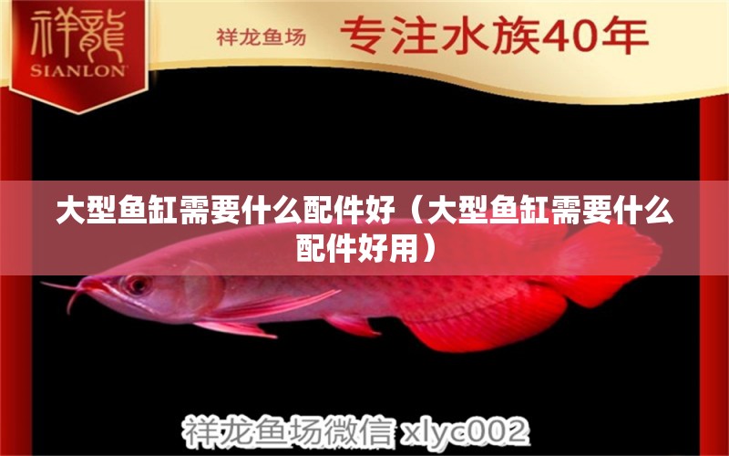 大型魚缸需要什么配件好（大型魚缸需要什么配件好用）