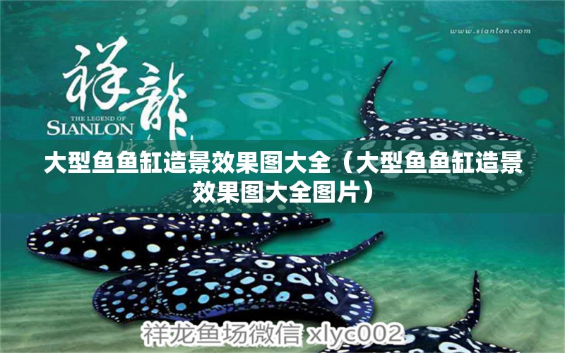 大型魚魚缸造景效果圖大全（大型魚魚缸造景效果圖大全圖片） 殺菌消毒設(shè)備