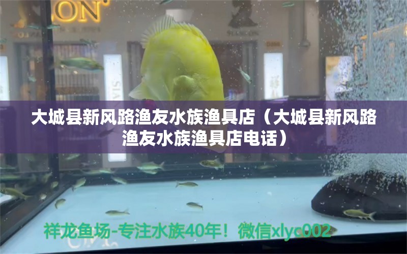 大城縣新風路漁友水族漁具店（大城縣新風路漁友水族漁具店電話） 全國水族館企業(yè)名錄