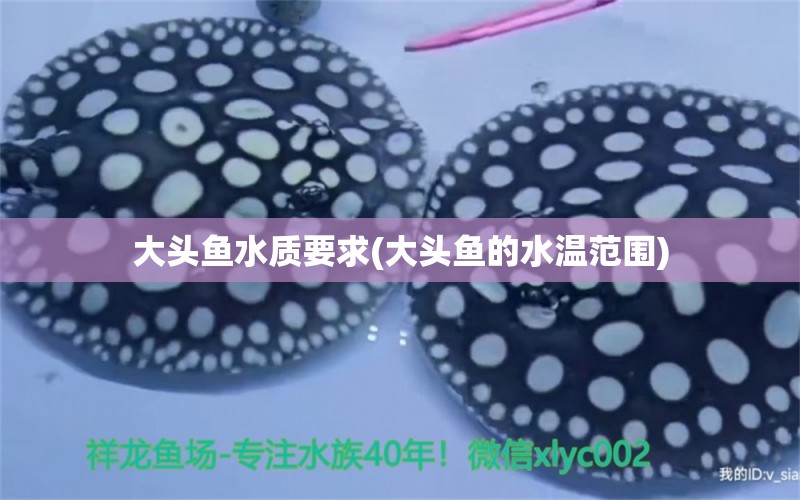 大頭魚(yú)水質(zhì)要求(大頭魚(yú)的水溫范圍) 觀賞魚(yú)市場(chǎng)（混養(yǎng)魚(yú)）