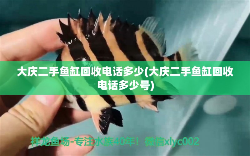 大慶二手魚缸回收電話多少(大慶二手魚缸回收電話多少號) 銀龍魚