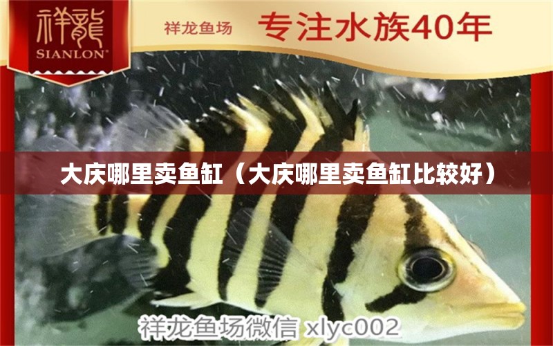 大慶哪里賣(mài)魚(yú)缸（大慶哪里賣(mài)魚(yú)缸比較好）