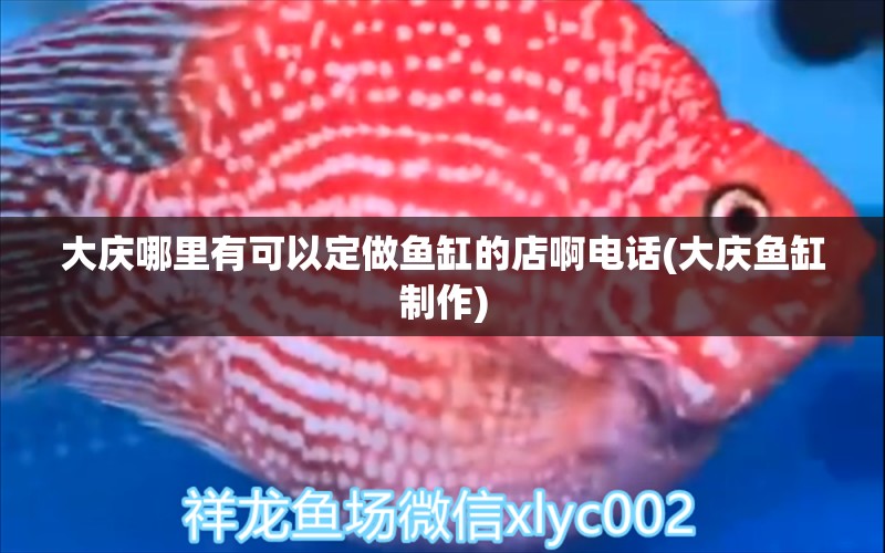 大慶哪里有可以定做魚缸的店啊電話(大慶魚缸制作) 其他益生菌