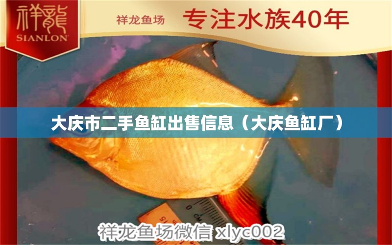 大慶市二手魚缸出售信息（大慶魚缸廠）