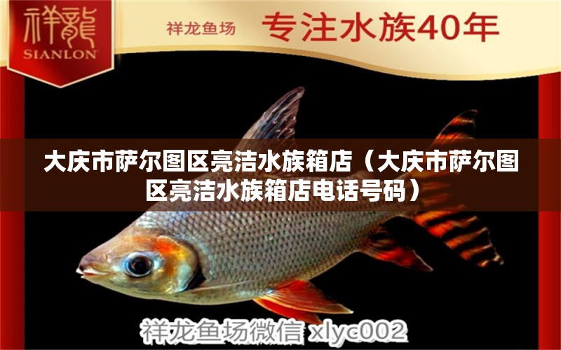 大慶市薩爾圖區(qū)亮潔水族箱店（大慶市薩爾圖區(qū)亮潔水族箱店電話號碼）