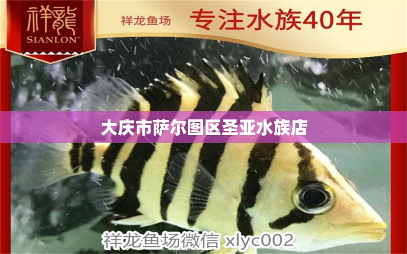 大慶市薩爾圖區(qū)圣亞水族店 全國水族館企業(yè)名錄